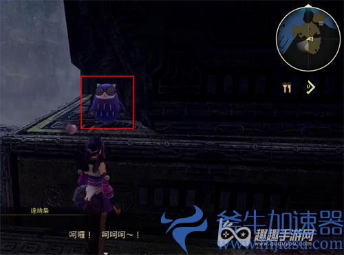 破晓传说猫头鹰位置60