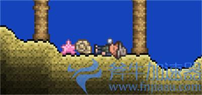 泰拉瑞亚渔夫入住条件讲解 渔夫怎么入住