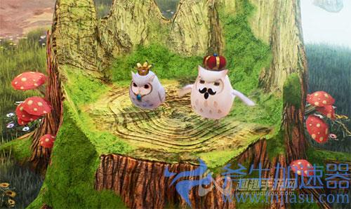 破晓传说特殊猫头鹰位置03