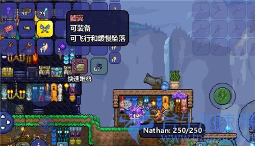 泰拉瑞亚渔夫任务多久刷新一次 钓鱼任务刷新时间介绍