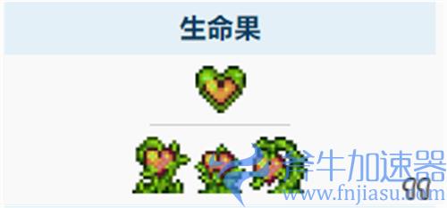 泰拉瑞亚生命果出现条件介绍 什么时候有在第几层刷