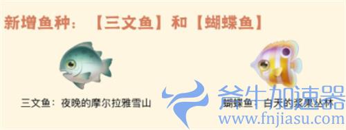 摩尔庄园蝴蝶鱼有什么用