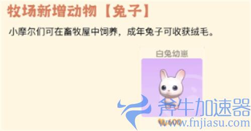 摩尔庄园白兔幼崽有什么用 兔子用途一览