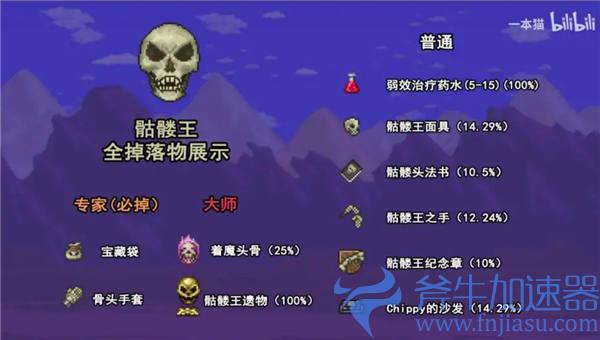 骷髅王掉落大全