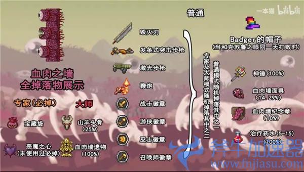 血肉之墙掉落大全