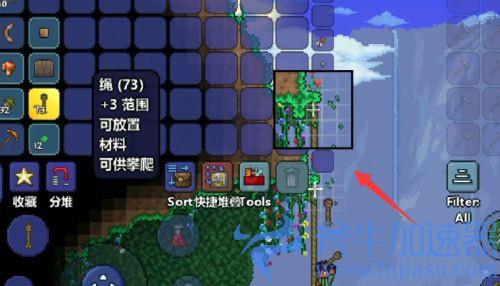 泰拉瑞亚针叶木怎么得 针叶木分布在哪