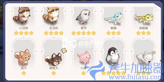 奥比岛手游宠物图鉴02