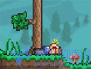 泰拉瑞亚酒馆老板入住条件是什么 酒馆老板怎么入住