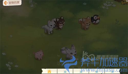 奥比岛手游宠物的家02