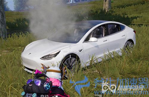 和平精英特斯拉冷光银好还是珍珠白好