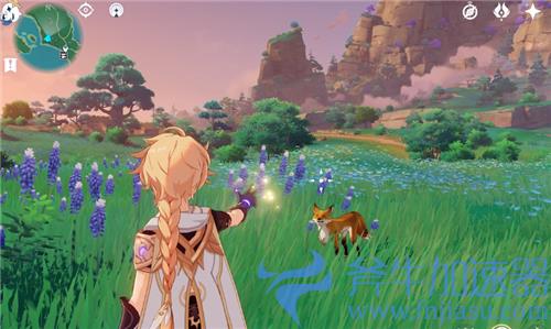 原神四方八方之网怎么获得 捕捉小动物道具获取方法