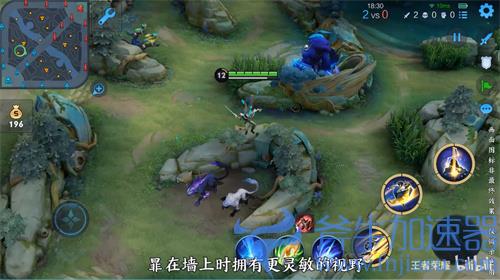 王者荣耀暃被动能否探草 是否可以发现草丛中英雄