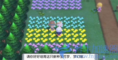 宝可梦晶灿钻石特典怎么领 领取方法介绍
