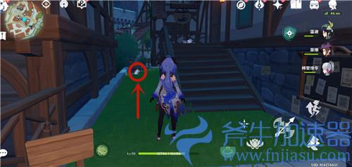 原神灰雪猫在哪 捕捉固定刷新点图解