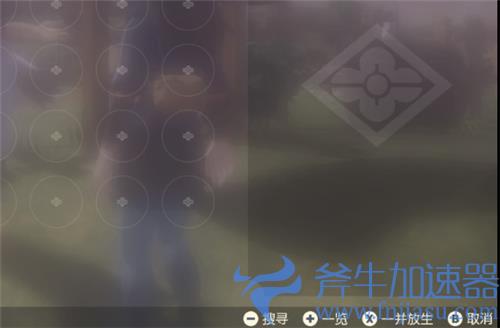 宝可梦传说阿尔宙斯怎么批量放生精灵 一键放生方法