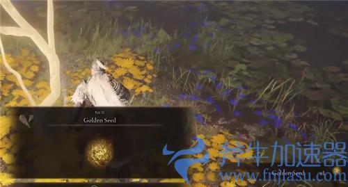 艾尔登法环陪葬品选什么好 开局最佳陪葬品推荐