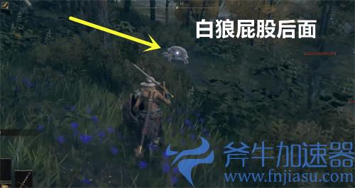 艾尔登法环三只睿智兽在哪里 三只乌龟解谜攻略