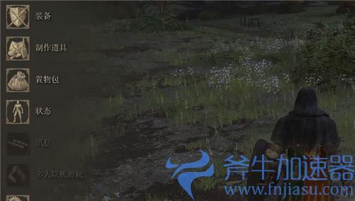 艾尔登法环骨灰怎么用 为什么召唤不了灵魂