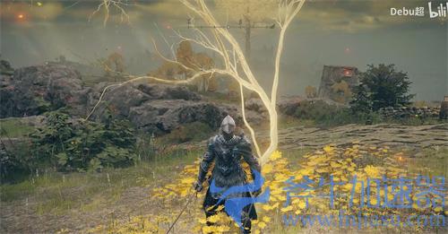 艾尔登法环黄金种子有什么用 作用效果讲解