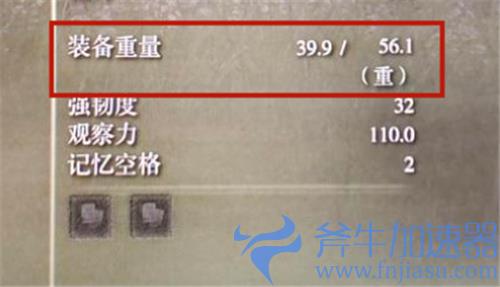 艾尔登法环重量有什么影响 老头环装备重量多少合适
