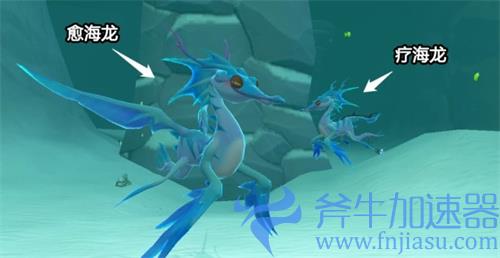 创造与魔法愈海龙饲料怎么做 饲料合成配方介绍