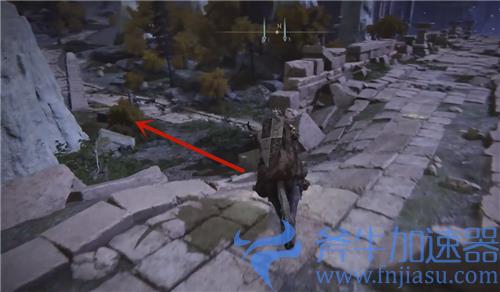 艾尔登法环仿生泪滴在哪 老头环史莱姆骨灰怎么拿图解