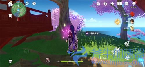 原神绯樱绣球怎么采集不了 正确采集方法教学