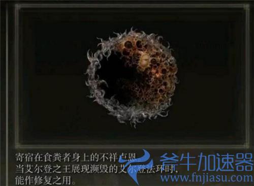 艾尔登法环大卢恩有几个 老头环有哪些大卢恩