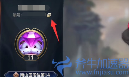 英雄联盟手游好友称号怎么设置(怎么删除英雄联盟手游好友)