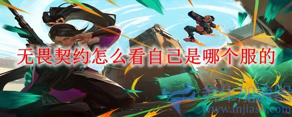 无畏契约怎么看自己是哪个服的(无畏契约手游下载)